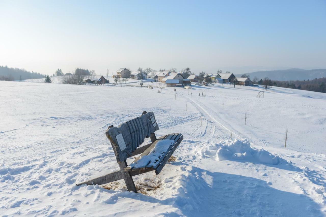 Holiday Home Virida, App Leopold III イヴァンチュナ・ゴリツァ エクステリア 写真