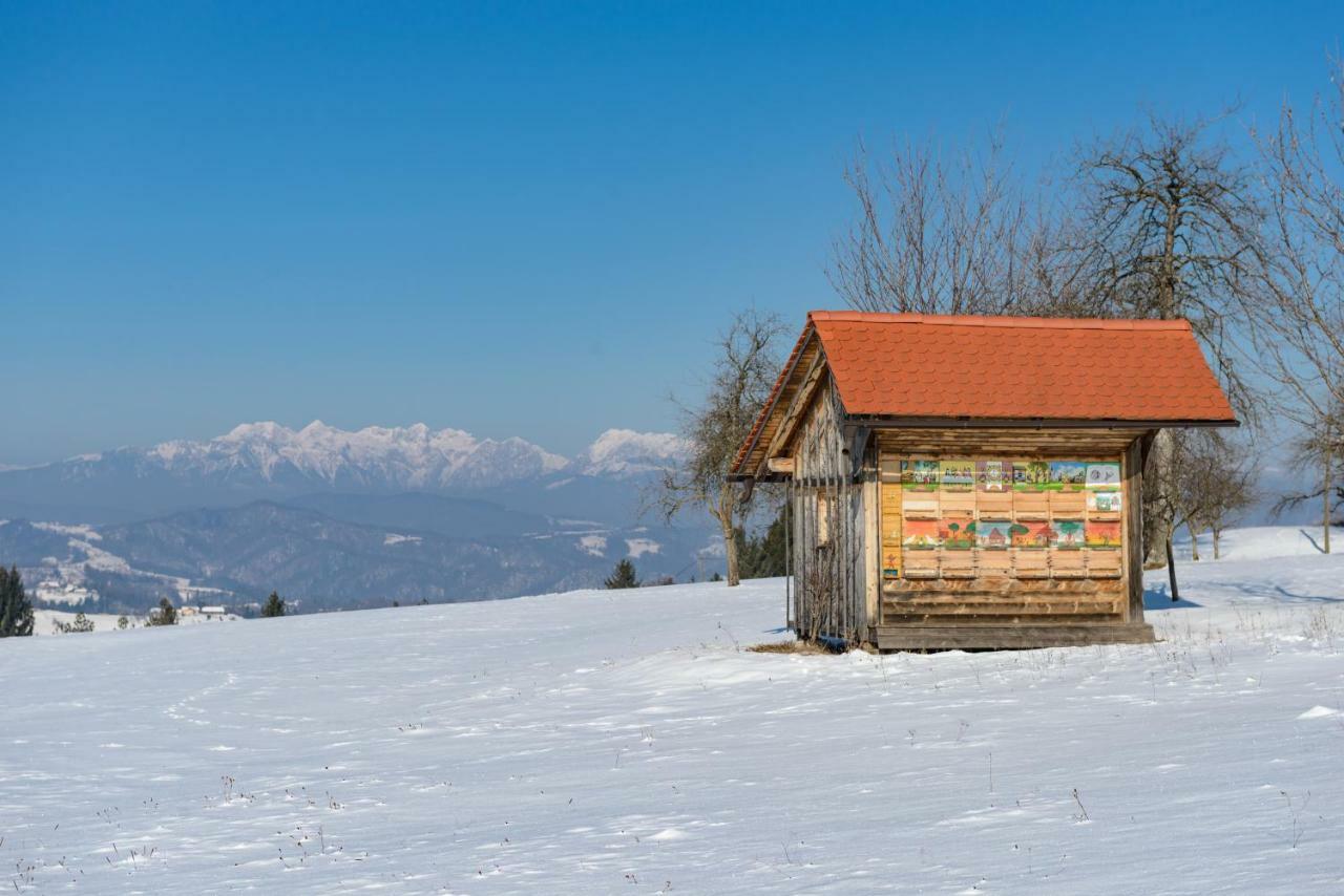 Holiday Home Virida, App Leopold III イヴァンチュナ・ゴリツァ エクステリア 写真